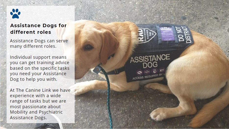Assistance Dog types information