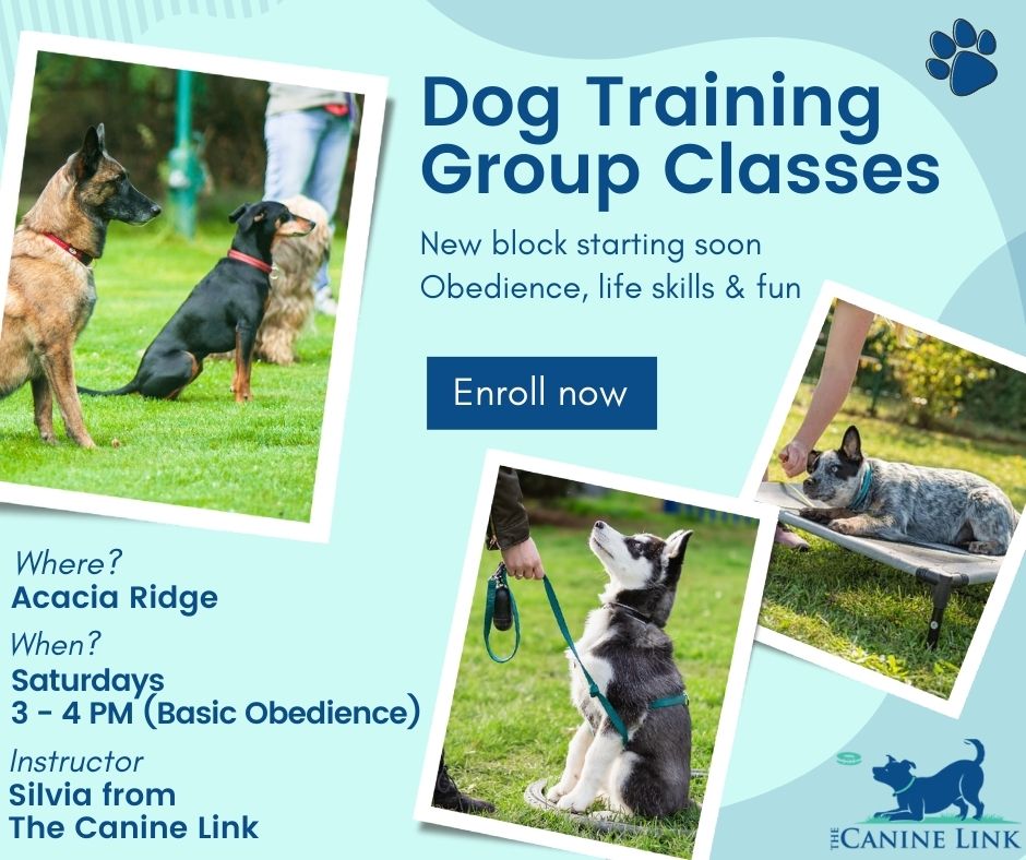 Dog Training group class information